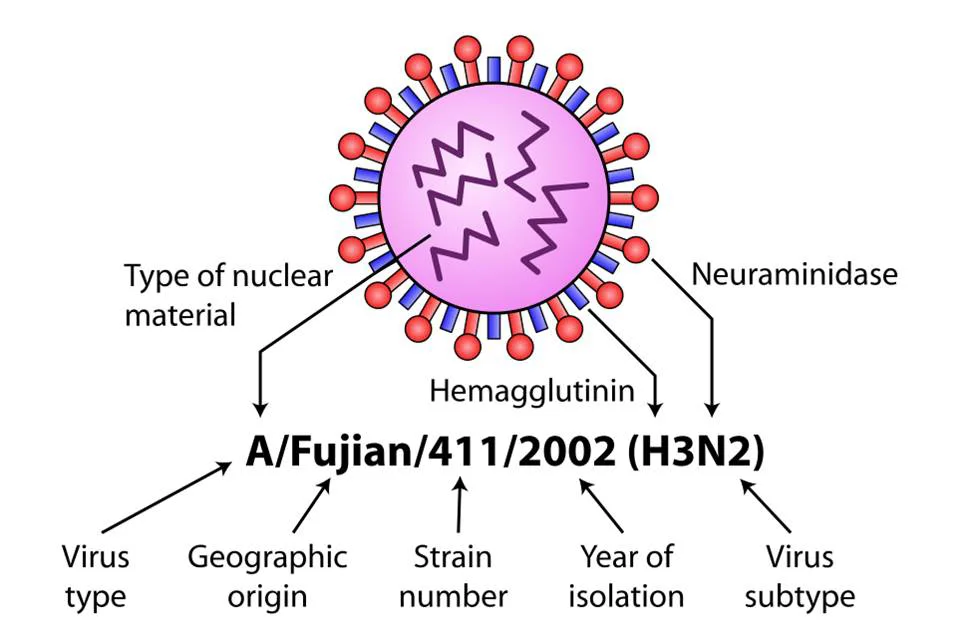 H3N2. alert1 medical alert systems